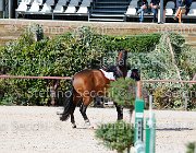 Apolloni Baby Arko GioCav2013 S5 1918 : Apolloni Gianluca, Baby Arko, Campionati Italiani Giovani Cavalli, Cattolica, ph Stefano Secchi ©